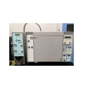 Gas purity detector in fuel cell